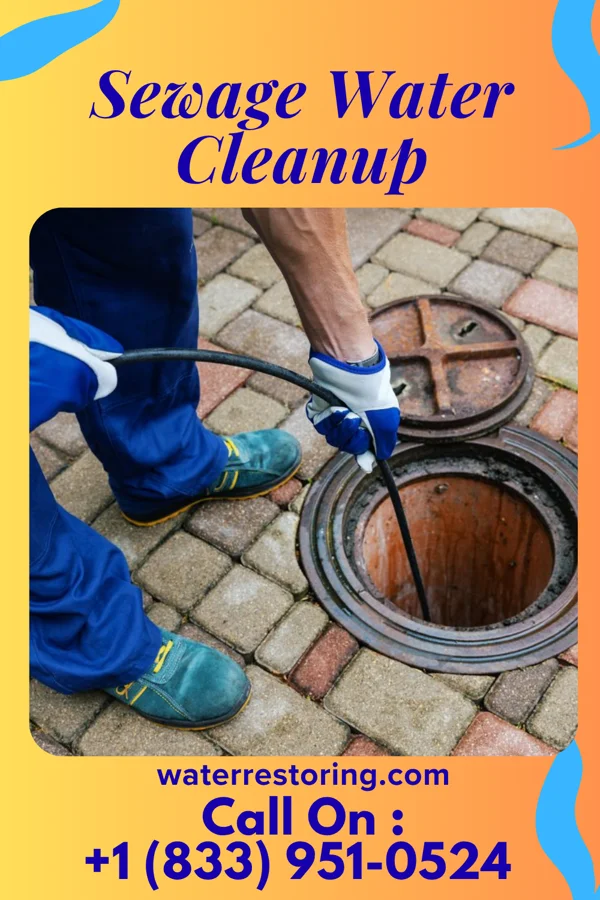 Sewage Water Cleanup in Prairie Village, KS
