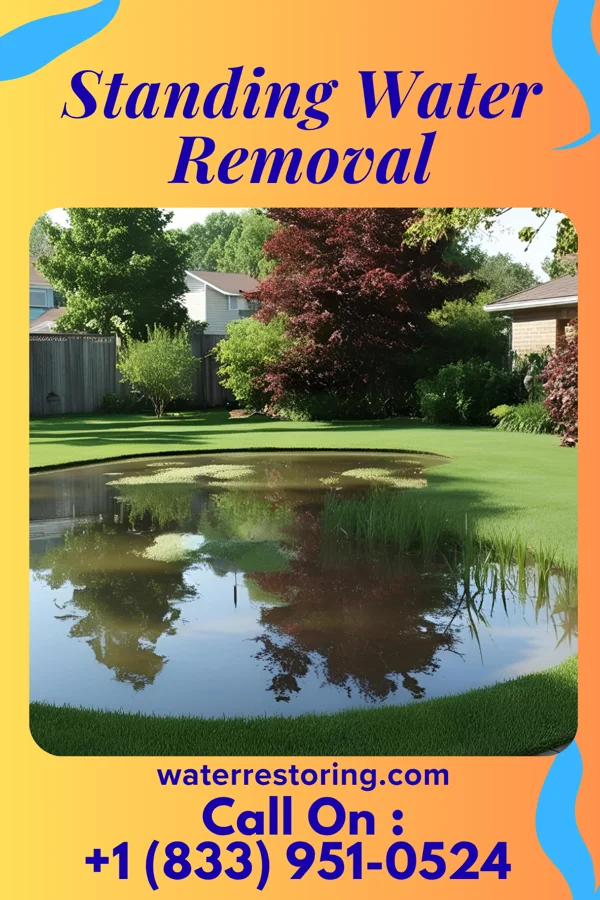 Standing Water Removal in Prairie Village, KS
